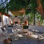 Angelo's Bernalda
