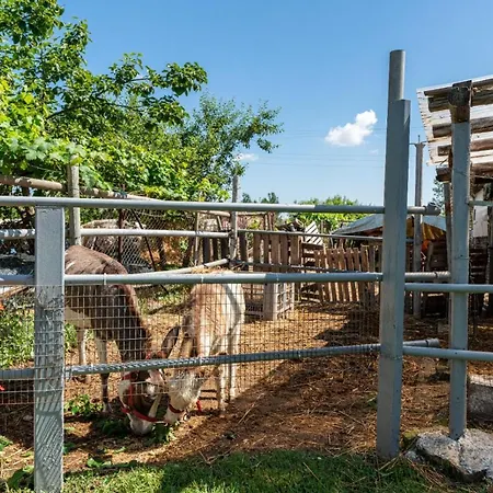 Angelo's Semesterbostad